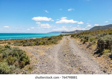 Fork In Road On New Zealand Beach 