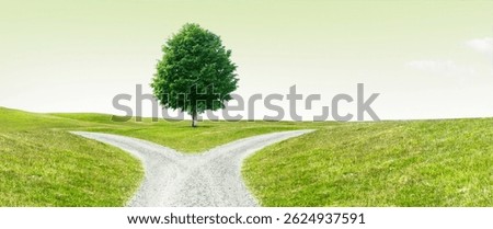 Fork in the road on a path through a hilly landscape