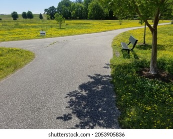 Fork In Walking Path At Riverview Farms Park, Newport News VA