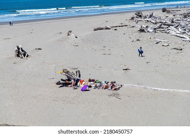 Forks, WA, USA-July 2022; High Angle View Of People Enjoying The Sun On Kalaloch Beach, On Coastal Stretch Of Olympic National Park, Between Huge Amounts Of Driftwood Of All Sizes Washed On Shore