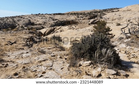 Forlorn view of gray and tan landscape in a desert
