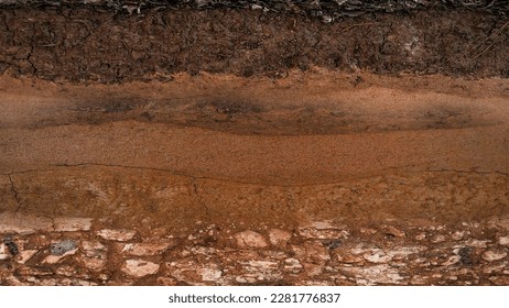 Form of soil layers, its colour and textures, texture layers of earth
