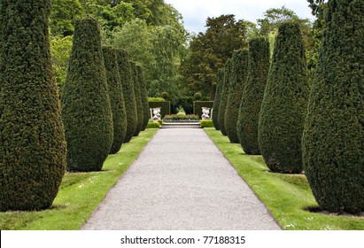 Formal Avenue Of Shaped Conifer Trees Leading To Decorative Gardens