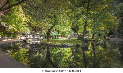 Formal Garden Sunny Day Reflections Fern Tree Gully Melbourne