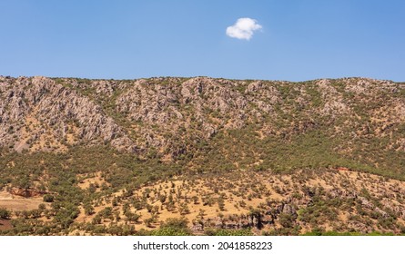 the formation of Mountains with trees, foliage, grass and blue sky in western part of iran, kurdistan province, Iran