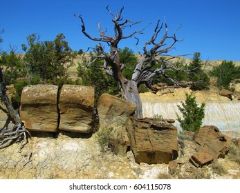 Formation Scenery/landscape In Terry Badlands Wilderness Study Area, Montana