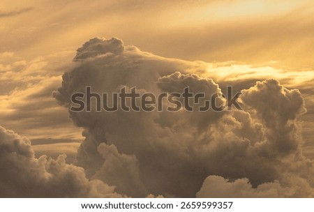 Formation of thunderclouds in the summer sky