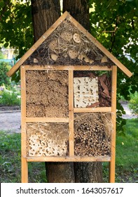 Formicarium, Large Ant Farm Or Ants House On A Tree