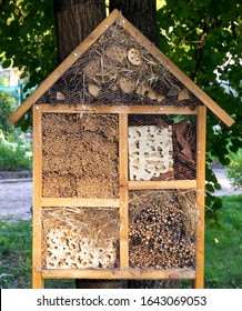 Formicarium, Large Ant Farm Or Ants House On A Tree