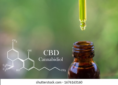 formula CBD cannabidiol, droplet dosing a biological and ecological hemp plant herbal pharmaceutical,   medical marijuana and oil, alternative remedy or medication,  medicine concept