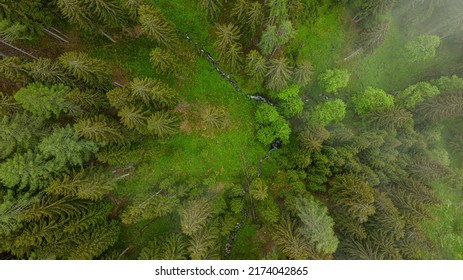 Forrest Drone Footage Featuring The South Carinthian Alps In 4k Resolution