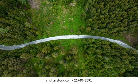 Forrest Drone Footage Featuring The South Carinthian Alps In 4k Resolution