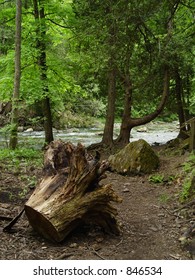 Forrest Glade. Ontario, Canada