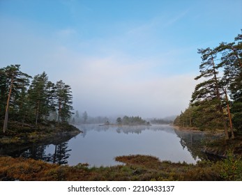 Forrest Island Foggy Water Reflection 