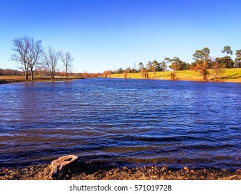 944 Forsyth park Images, Stock Photos & Vectors | Shutterstock