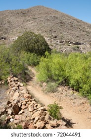 Fort Bowie Desert Trail