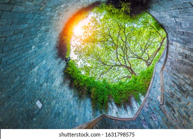 Fort Canning Park On Fort Canning Hill, Singapore.