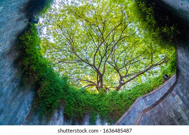 Fort Canning Park On Fort Canning Hill, Singapore.