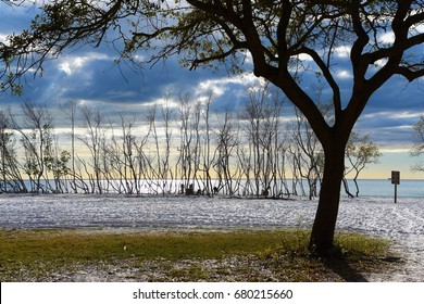 Fort De Soto Beach Park, Florida