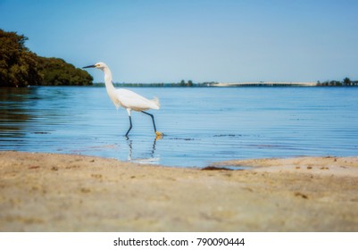 Fort De Soto Park Florida