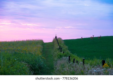 Fort Defiance State Park In Iowa At Sunrise