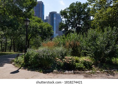 Fort Greene Park With Green Trees And Plants During Summer In Fort Greene Brooklyn New York