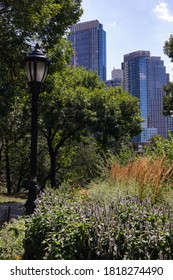 Fort Greene Park With Green Trees And Plants During Summer In Fort Greene Brooklyn New York