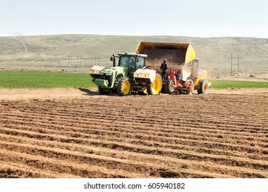 Fort Hall, Idaho, USA Apr. 21. 2015  A Front End Loader Filling A Potato Planter With Potato Seed To Be Planted In The Fertile Farm Fields Of Idaho.