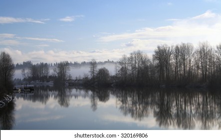 Fort Langley BC Trees