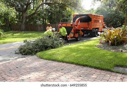 FORT LAUDERDALE, FL - USA:  Workers From Asplundh Tree Expert Co. Trimming And Chipping Trees For Florida Power & Light In Preparation For Hurricane Season As Seen On May 23, 2017.