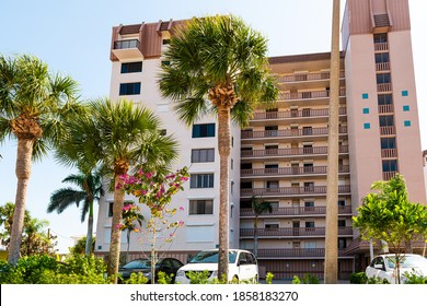 Tropical Flower Beach High Res Stock Images Shutterstock