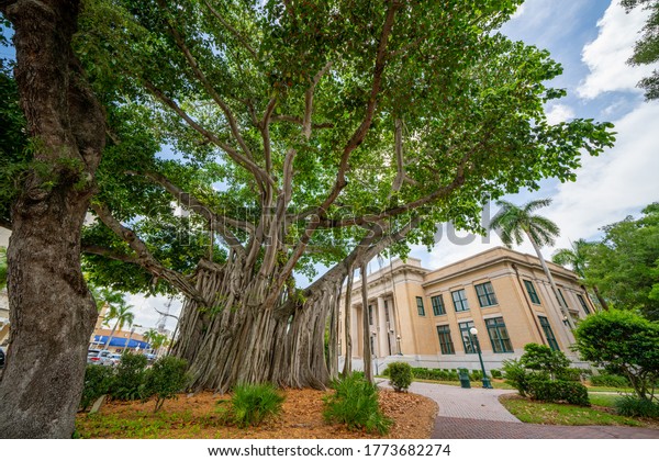 FORT MYERS, FL, USA - JULY 9, 2020: Lee County\
Courthouse Downtown Fort Myers\
FL