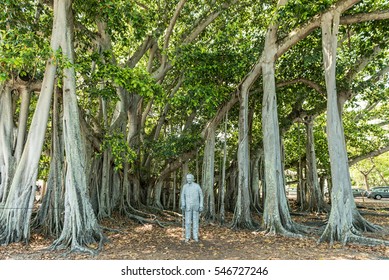 FORT MYERS, FLORIDA - MAY 02, 2015: Edison And Ford Winter Estates Monument In Park.