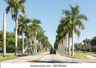 FORT MYERS, USA - DEC 11, 2015: Traffic and palm trees on McGregor Boulevard in Fort Myers, Florida, USA