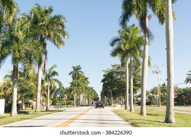 FORT MYERS, USA - DEC 11, 2015: Traffic and palm trees on McGregor Boulevard in Fort Myers, Florida, USA
