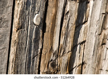 Fort Necessity Walls