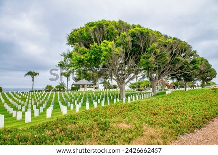 Fort Rosecrans National Cemetery in San Diego, California. Stock photo © 