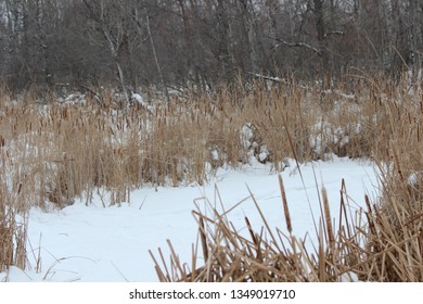 Fort Whyte Alive, Manitoba