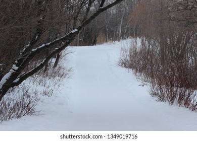 Fort Whyte Alive, Manitoba