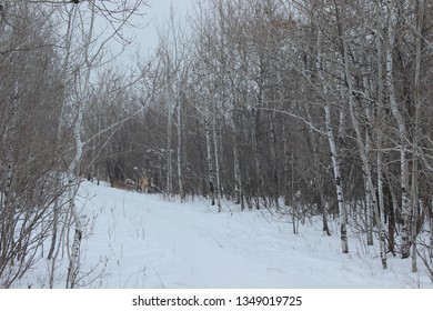 Fort Whyte Alive, Manitoba