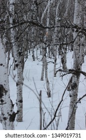 Fort Whyte Alive, Manitoba