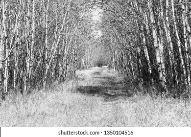 Fort Whyte Alive, Manitoba