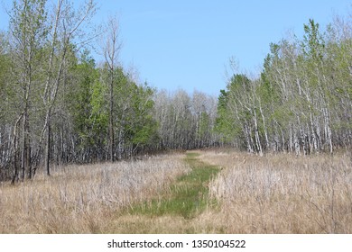 Fort Whyte Alive, Manitoba