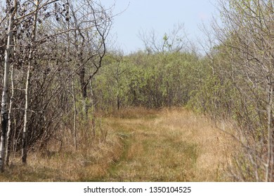 Fort Whyte Alive, Manitoba