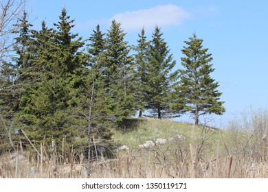 Fort Whyte Alive, Manitoba