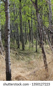 Fort Whyte Alive, Manitoba