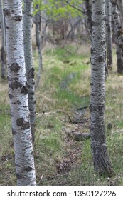 Fort Whyte Alive, Manitoba