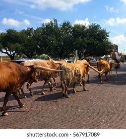 Fort Worth Stockyards.