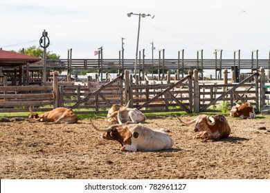 Fort Worth Stockyards