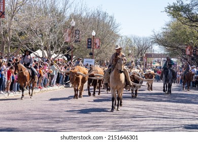 Fort Worth, Texas, USA - March 19, 2022: longhorn cattle drive at Fort Worth Stockyards in Fort Worth, Texas, USA. The Fort Worth Stockyards is a National Historic District. 